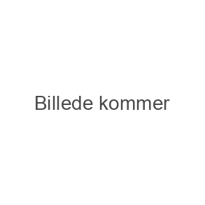 Hjulleje til trailer. Hjullejesæt. Compactlejesæt.